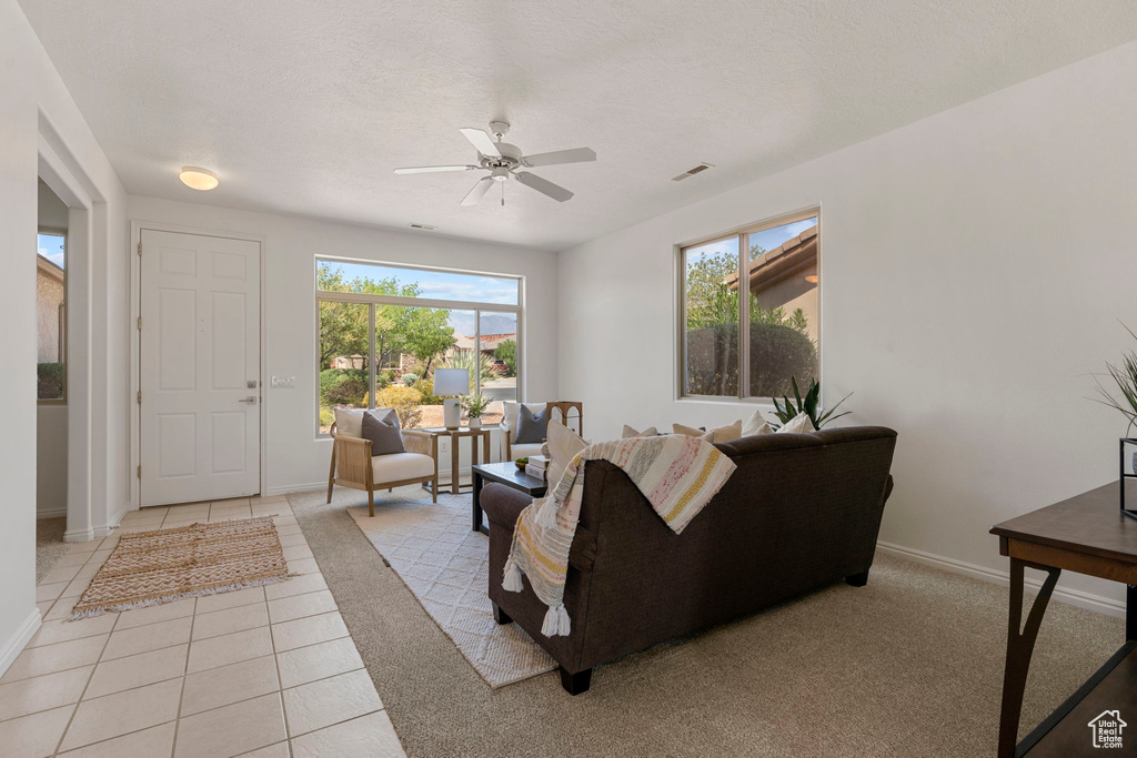 Photo 7 for MLS #2107093 at 3414 E Willow Springs Dr