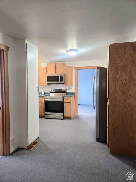 Photo 8 for MLS #2107097 at 872 W Erda Way