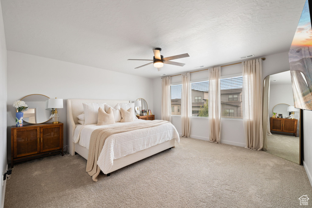 Photo 14 for MLS #2107116 at 715 S Miller Ave