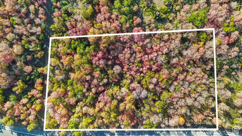 1030 S BEAR HOLLOW DR Woodland Hills, UT 84653