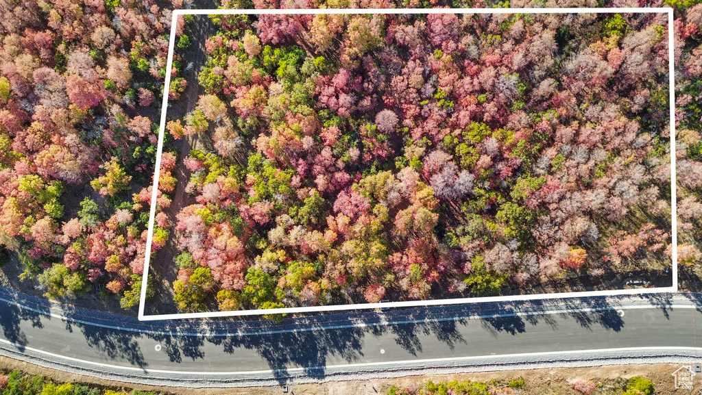 1030 S BEAR HOLLOW DR Woodland Hills, UT 84653