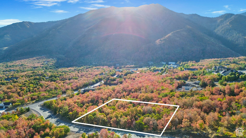 1030 S BEAR HOLLOW DR Woodland Hills, UT 84653