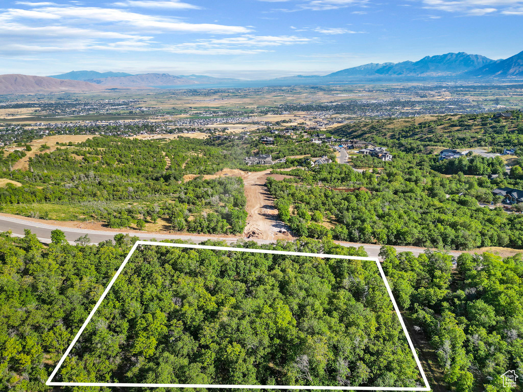 1030 S BEAR HOLLOW DR Woodland Hills, UT 84653