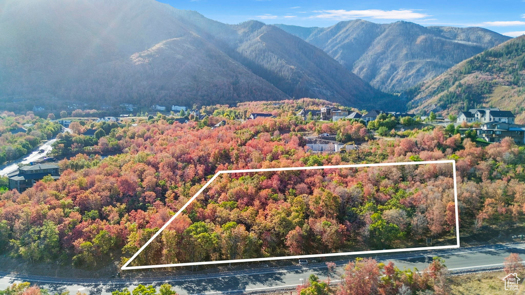 1030 S BEAR HOLLOW DR Woodland Hills, UT 84653