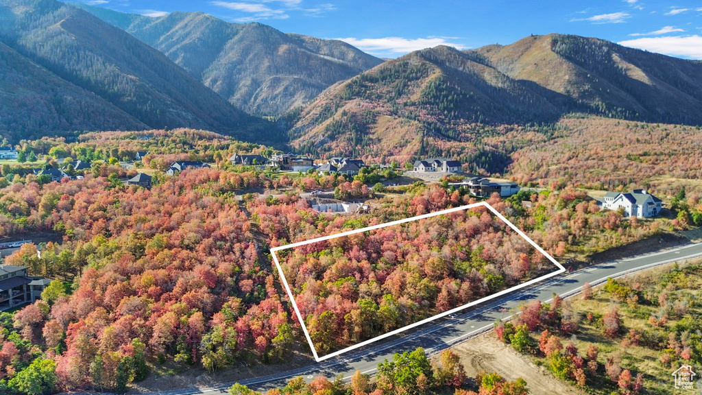 1030 S BEAR HOLLOW DR Woodland Hills, UT 84653