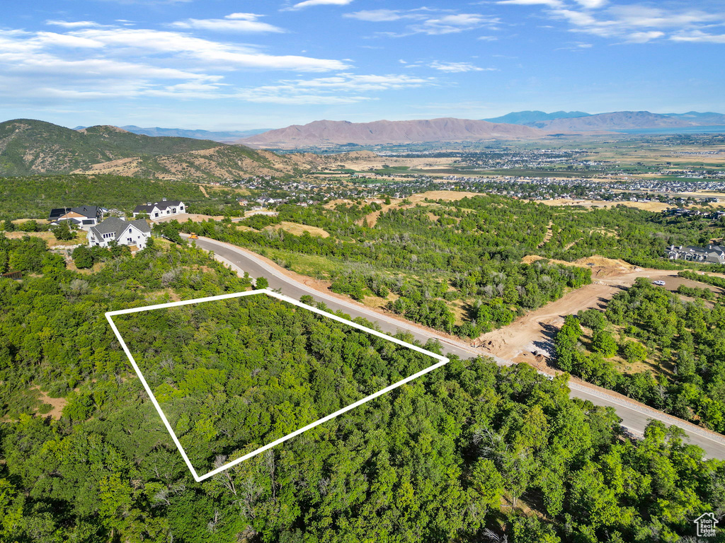 1030 S BEAR HOLLOW DR Woodland Hills, UT 84653