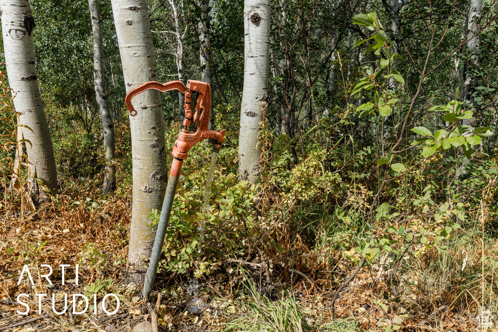 6621 N MIDDLE FORK DR Huntsville, UT 84317