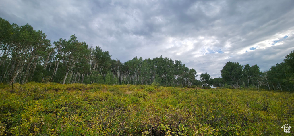  Spanish Fork, UT 84660