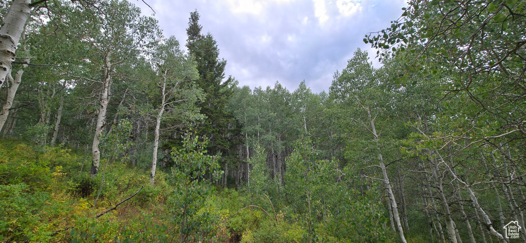  Spanish Fork, UT 84660