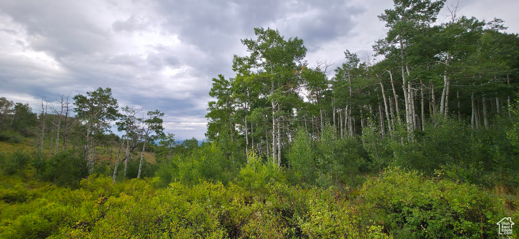  Spanish Fork, UT 84660