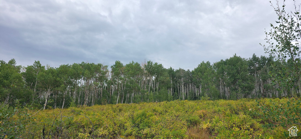  Spanish Fork, UT 84660