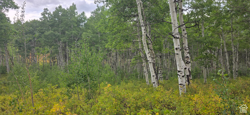  Spanish Fork, UT 84660