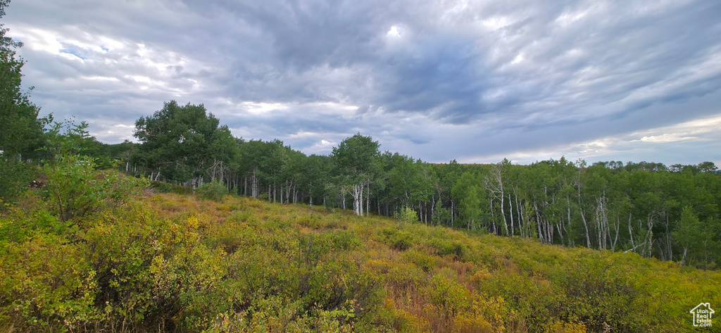  Spanish Fork, UT 84660