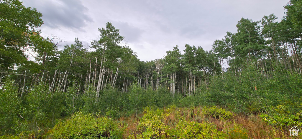  Spanish Fork, UT 84660