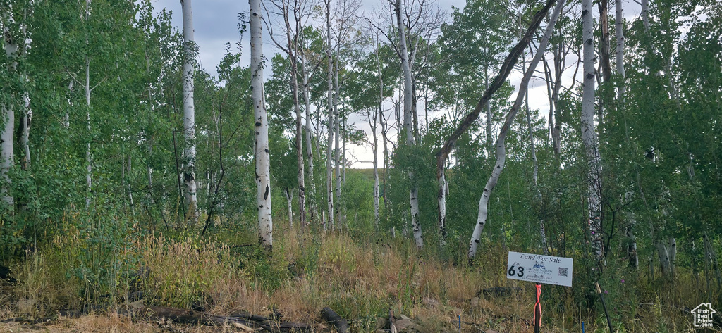  Spanish Fork, UT 84660