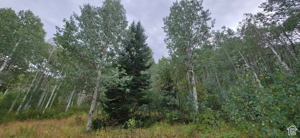  Spanish Fork, UT 84660