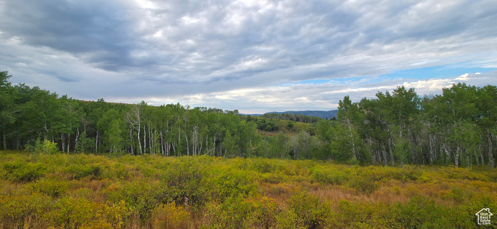  Spanish Fork, UT 84660