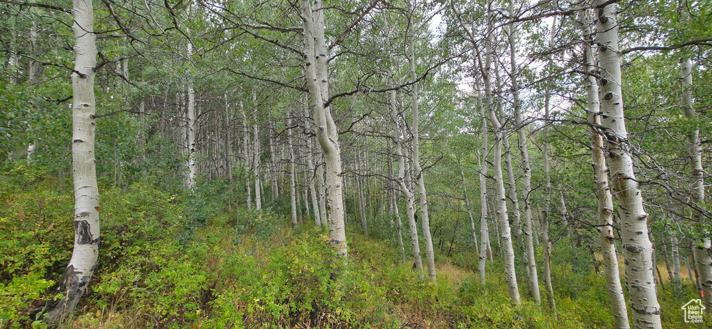  Spanish Fork, UT 84660