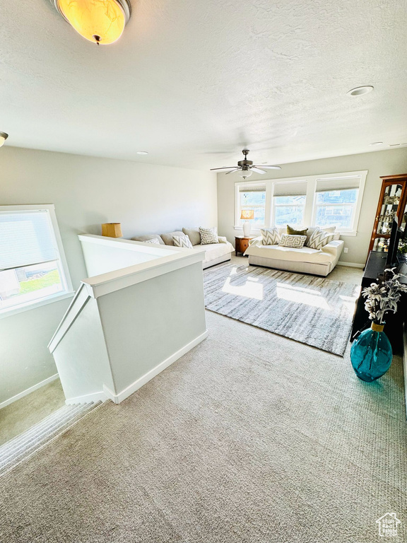 Photo 25 for MLS #2107170 at 7933 N Secretariat Rd