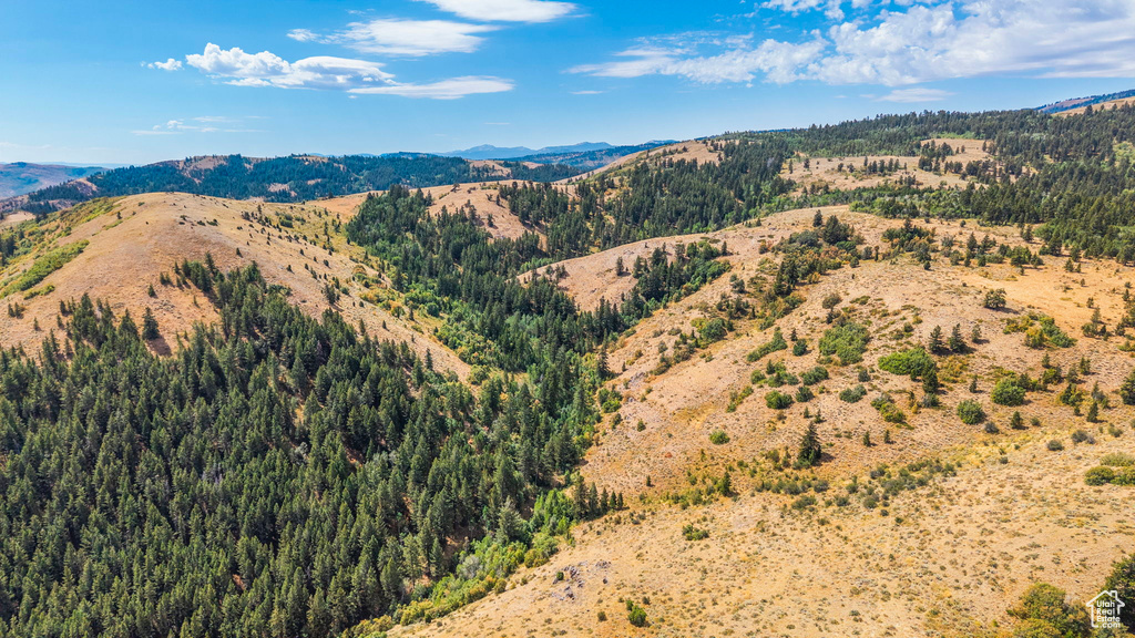 6013 NOUNAN RD Montpelier, ID 83254