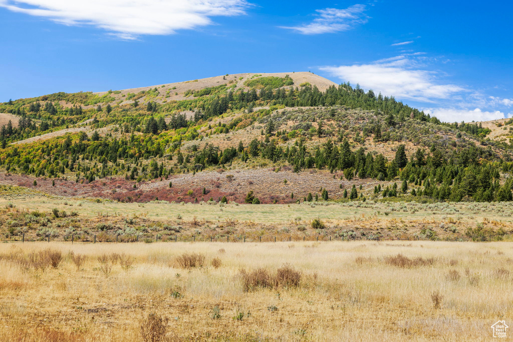 6013 NOUNAN RD Montpelier, ID 83254