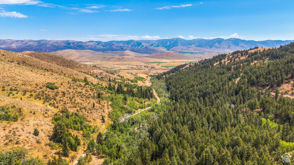 6013 NOUNAN RD Montpelier, ID 83254