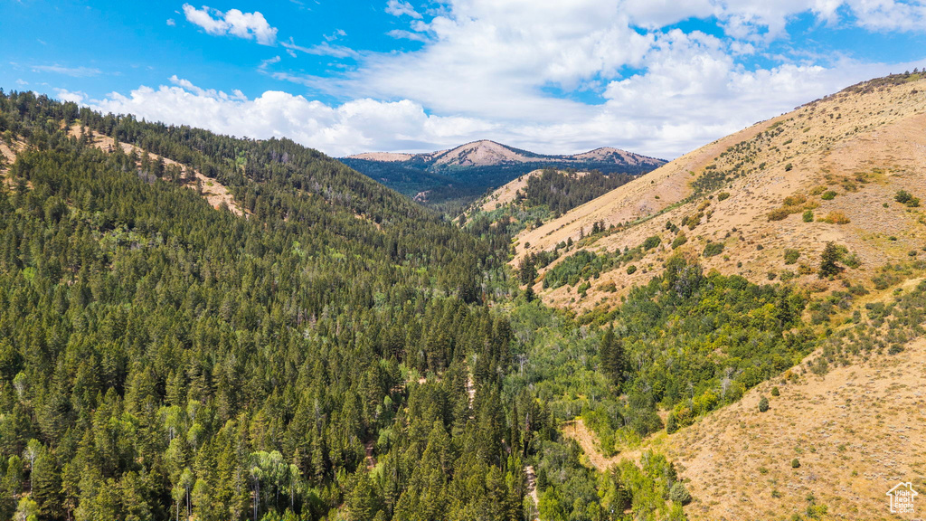 6013 NOUNAN RD Montpelier, ID 83254
