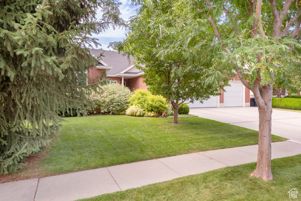 6294 S LOMBARDY DR Murray, UT 84121