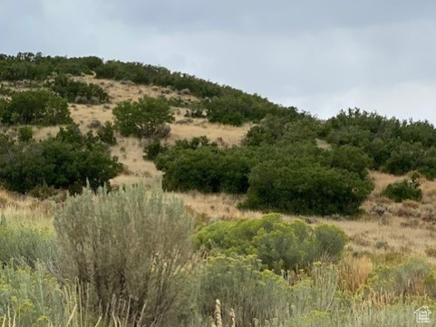 29145  OLD LINCOLN HWY Wanship, UT 84017