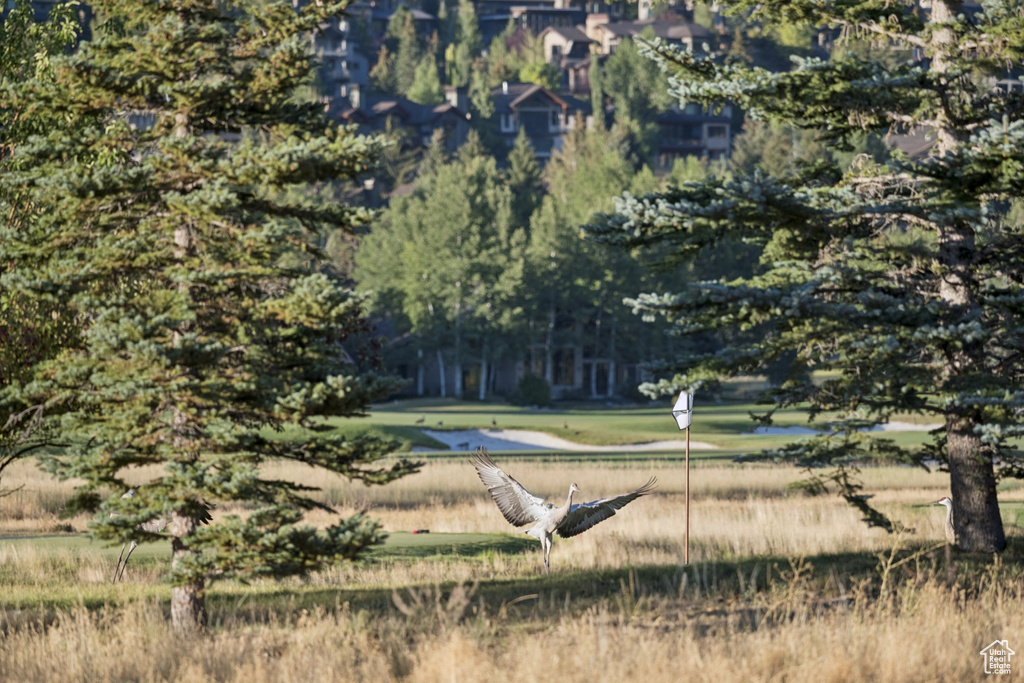 125 YONEX CT Park City, UT 84060