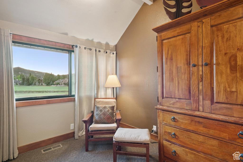 125 YONEX CT Park City, UT 84060