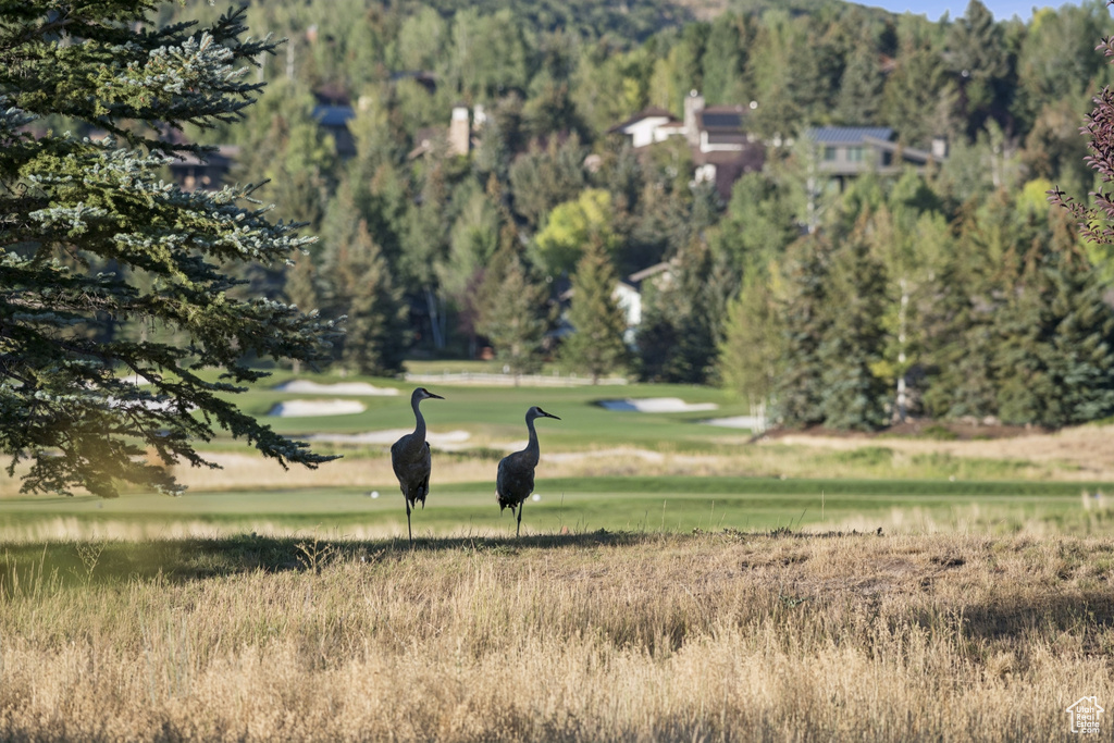 125 YONEX CT Park City, UT 84060