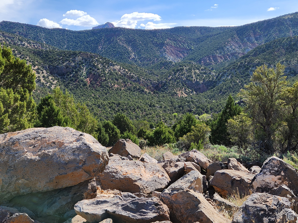 3747  OLD HWY 91 New Harmony, UT 84757