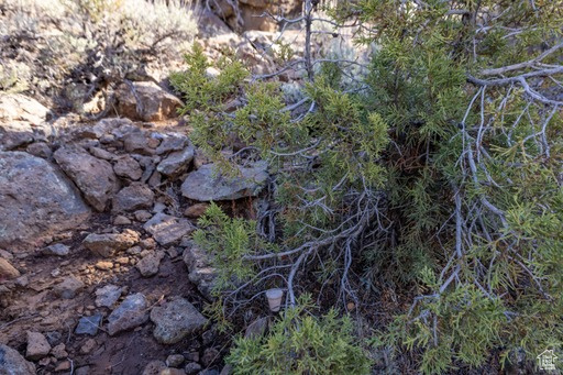 2754  OVERLOOK DR New Harmony, UT 84757