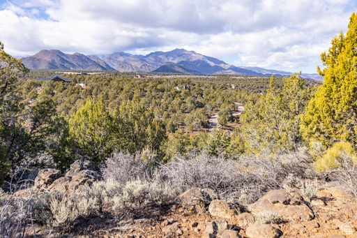 2754  OVERLOOK DR New Harmony, UT 84757