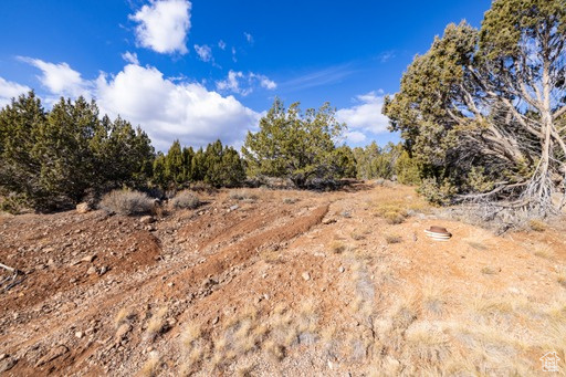 2754  OVERLOOK DR New Harmony, UT 84757