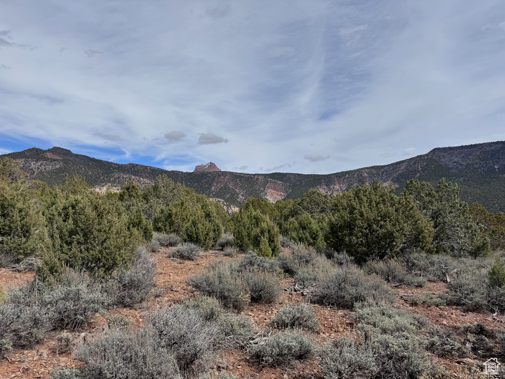 2754  OVERLOOK DR New Harmony, UT 84757