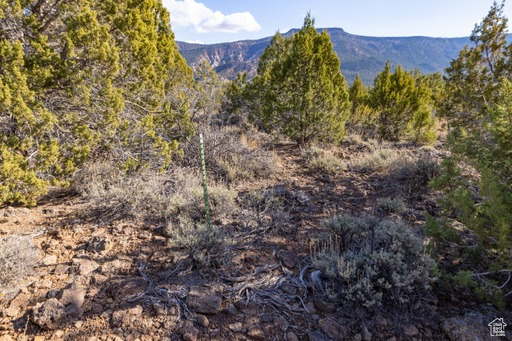 2754  OVERLOOK DR New Harmony, UT 84757