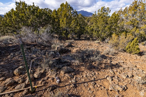 2754  OVERLOOK DR New Harmony, UT 84757