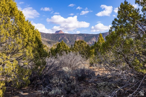 2754  OVERLOOK DR New Harmony, UT 84757