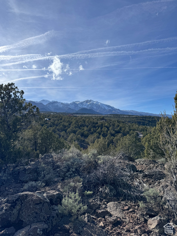 2754  OVERLOOK DR New Harmony, UT 84757