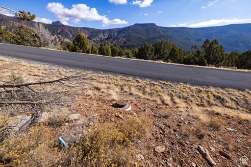 2754  OVERLOOK DR New Harmony, UT 84757