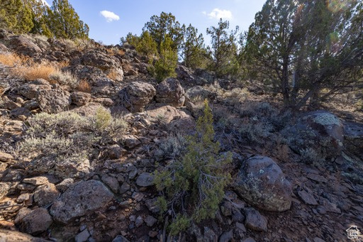 2754  OVERLOOK DR New Harmony, UT 84757