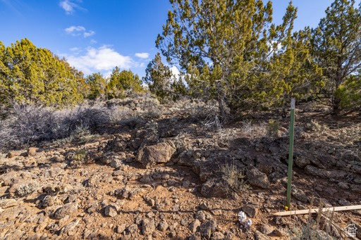2754  OVERLOOK DR New Harmony, UT 84757