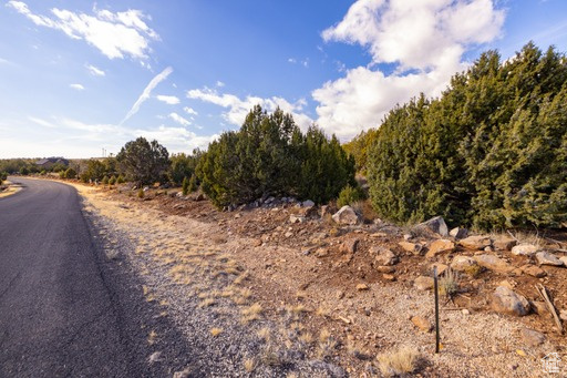 2754  OVERLOOK DR New Harmony, UT 84757