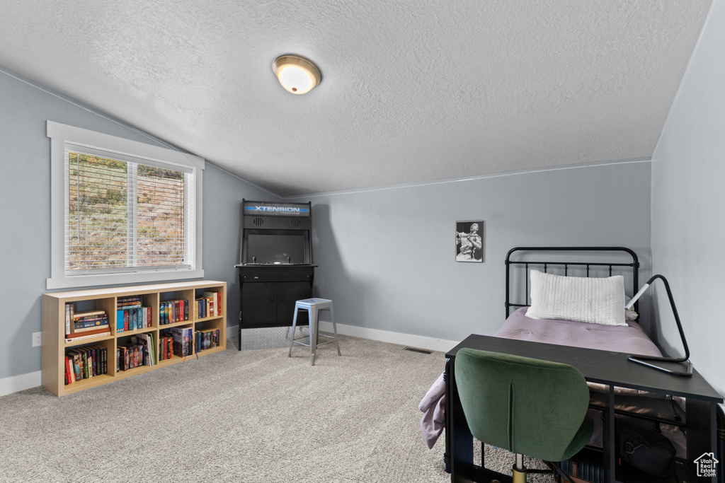 Photo 36 for MLS #2107367 at 2609 S Serviceberry Dr