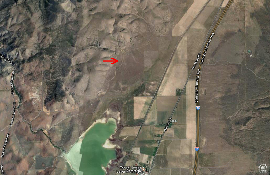 Mona, UT 84645
