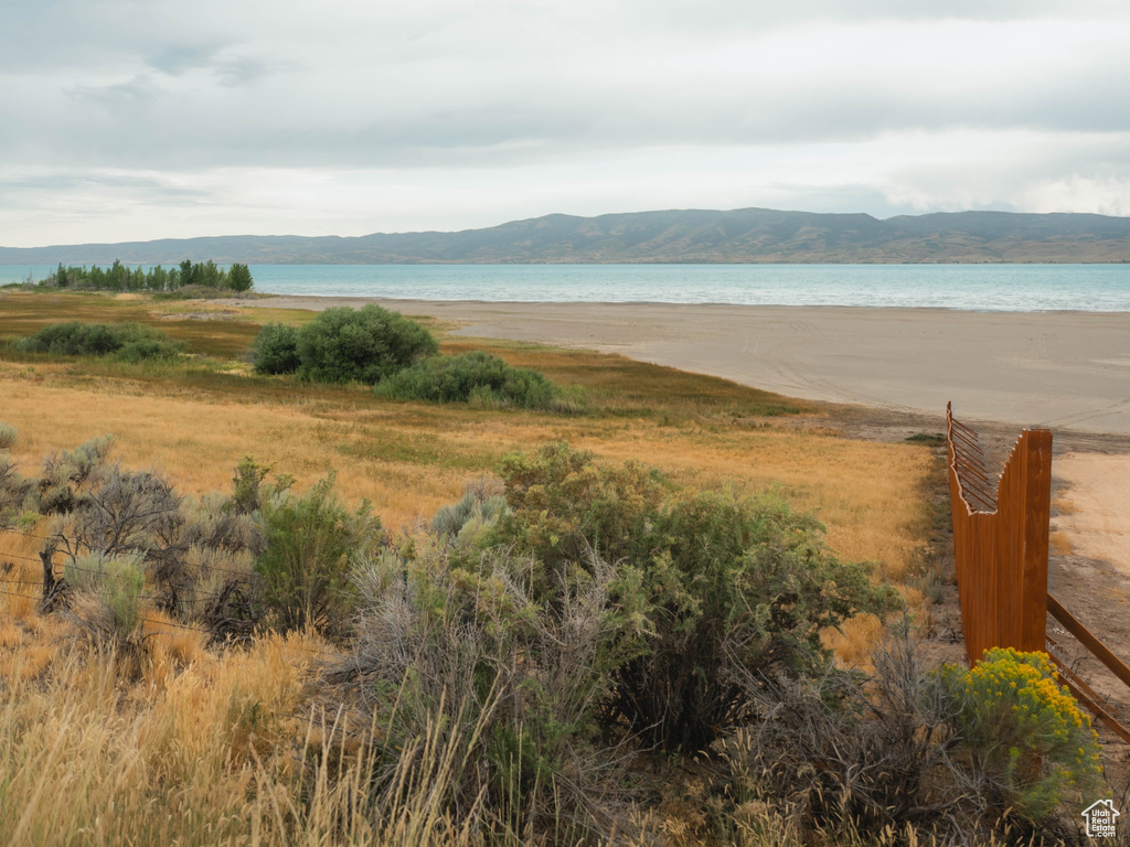 567  E SHORE RD. Saint Charles, ID 83272