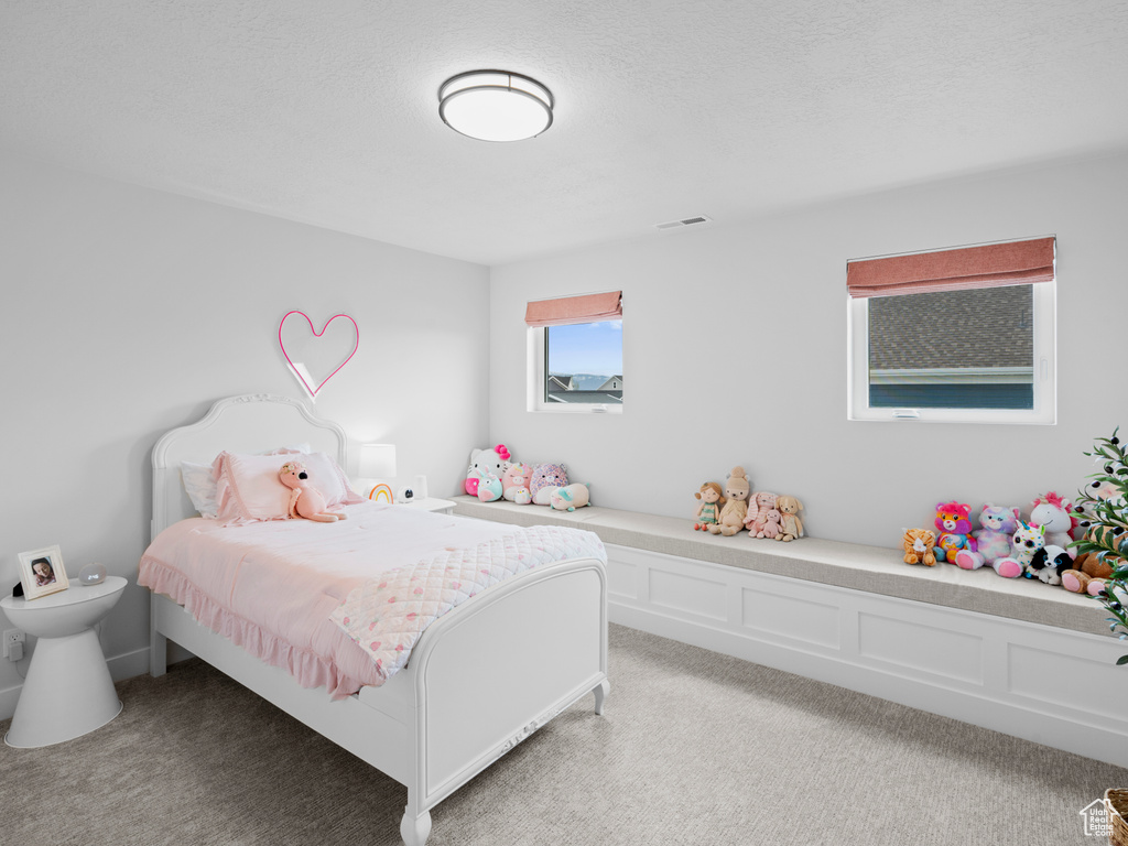 Photo 19 for MLS #2107439 at 245 S Summer Breeze Ln