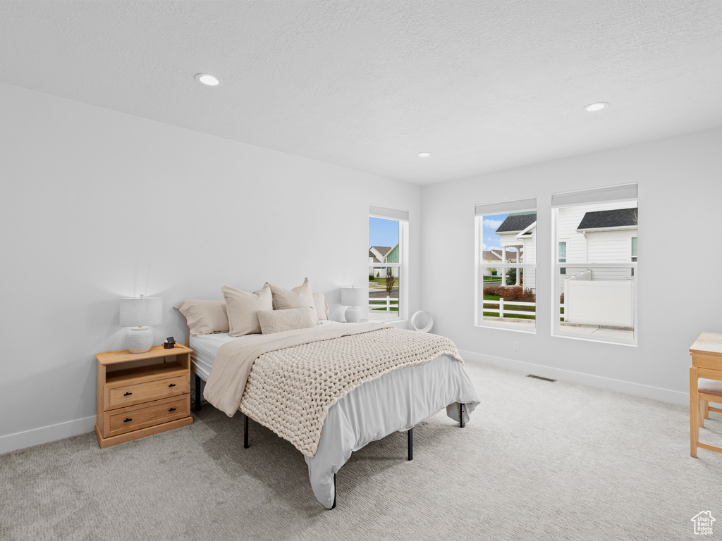 Photo 10 for MLS #2107439 at 245 S Summer Breeze Ln